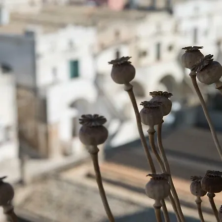 Bed & Breakfast Limen